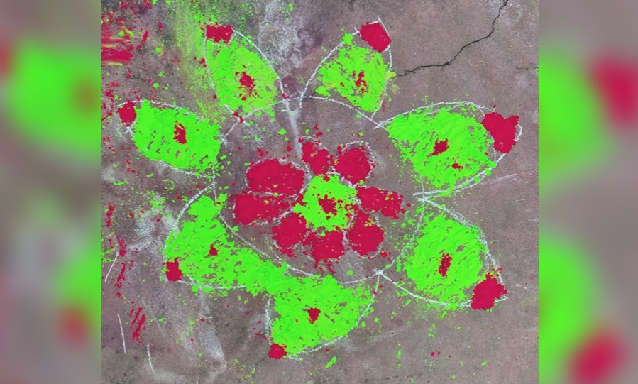 আরো একটু অন্যভাবে দোল হোলির ব্যাখ্যা